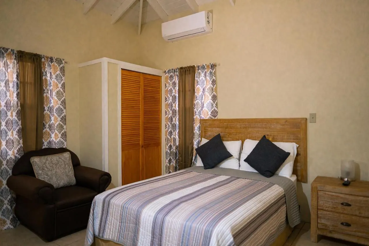 Connie'S Comfort Suites St. John's Aparthotel